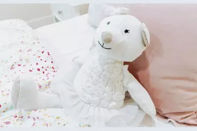 1452 Lochner Dr, San Jose, CA 95127 - Photo 45