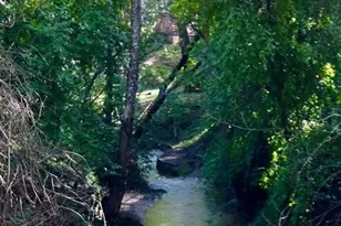 383 Riverview Dr, Boulder Creek, CA 95006 - Photo 3