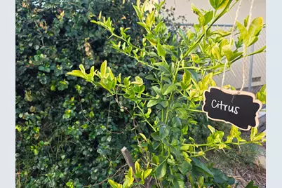 14200 Sycamore Ave, San Martin, CA 95046 - Photo 35