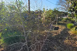 14200 Sycamore Ave, San Martin, CA 95046 - Photo 33