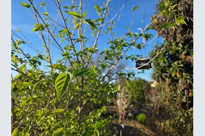 14200 Sycamore Ave, San Martin, CA 95046 - Photo 31