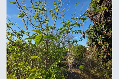 14200 Sycamore Ave, San Martin, CA 95046 - Photo 47