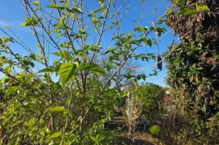 14200 Sycamore Ave, San Martin, CA 95046 - Photo 47