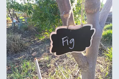 14200 Sycamore Ave, San Martin, CA 95046 - Photo 43