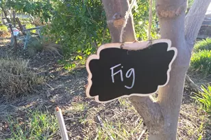 14200 Sycamore Ave, San Martin, CA 95046 - Photo 43