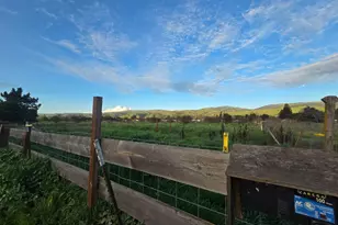 14200 Sycamore Ave, San Martin, CA 95046 - Photo 33