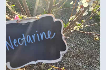 14200 Sycamore Ave, San Martin, CA 95046 - Photo 49