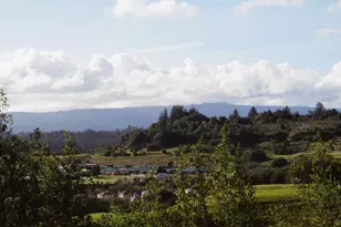 435 Tabor Dr, Scotts Valley, CA 95066 - Photo 7