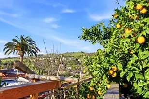 3561 Story Rd, San Jose, CA 95127 - Photo 43