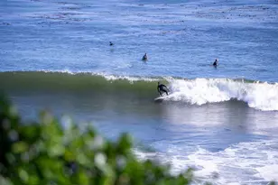 318 Park Ave, Capitola, CA 95010 - Photo 53