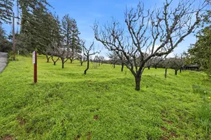 24733 Loma Prieta Ave, Los Gatos, CA 95033 - Photo 31