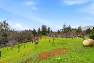 24733 Loma Prieta Ave, Los Gatos, CA 95033 - Photo 33