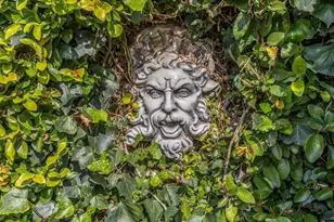 4845 Los Arboles Pl, Fremont, CA 94536 - Photo 39