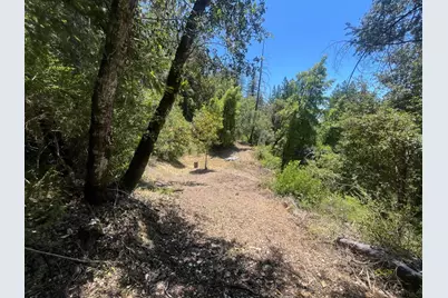 0 Deer Creek (Lot 21), Boulder Creek, CA 95006 - Photo 7