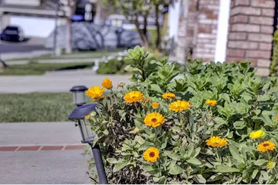 5254 Country Forge Ln, San Jose, CA 95136 - Photo 5