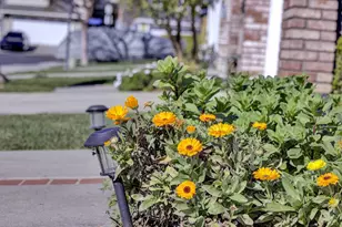 5254 Country Forge Ln, San Jose, CA 95136 - Photo 5