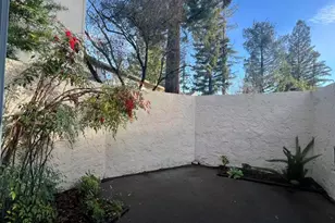 19124 Vineyard Ln, Saratoga, CA 95070 - Photo 27