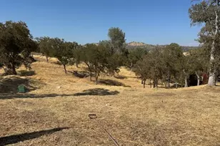 4227 Council Trail, Copperopolis, CA 95228 - Photo 1