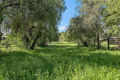 13575 Mammini Ct, San Martin, CA 95046 - Photo 51