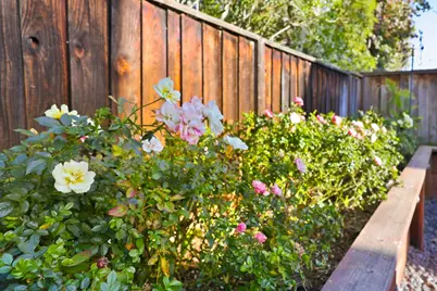 34216 Northwind Ter, Fremont, CA 94555 - Photo 35