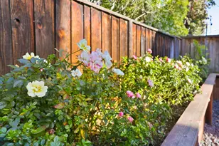 34216 Northwind Terrace, Fremont, CA 94555 - Photo 35