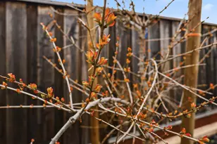 5874 Caleb Ct, Newark, CA 94560 - Photo 43