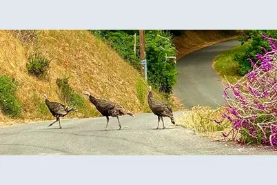 645 Skyward Dr, Aptos, CA 95003 - Photo 61