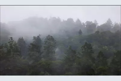 645 Skyward Dr, Aptos, CA 95003 - Photo 21