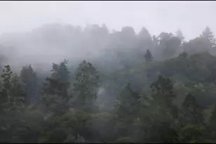 645 Skyward Dr, Aptos, CA 95003 - Photo 21