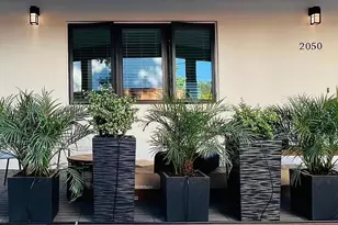 2050 Williams St, Palo Alto, CA 94306 - Photo 3