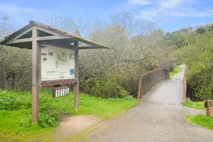 10175 Orange Ave, Cupertino, CA 95014 - Photo 83