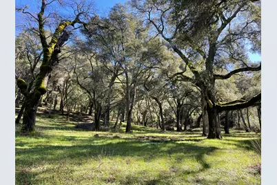 10 Garzas Trl, Carmel Valley, CA 93923 - Photo 3