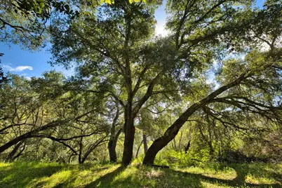 15805 Uvas Rd, Morgan Hill, CA 95037 - Photo 13