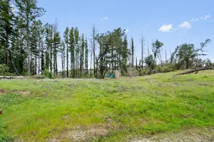 411 Midway Ranch Rd, Boulder Creek, CA 95006 - Photo 57