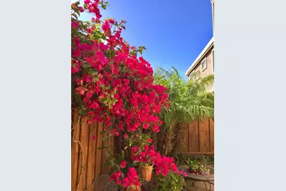 2158 Capitol Park Ct, San Jose, CA 95132 - Photo 21