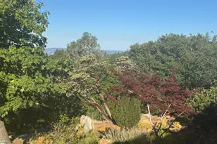 2251 Folendorf Rd, Murphys, CA 95247 - Photo 21