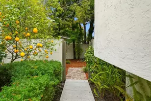 243 Sierra Vista Ave, Mountain View, CA 94043 - Photo 17