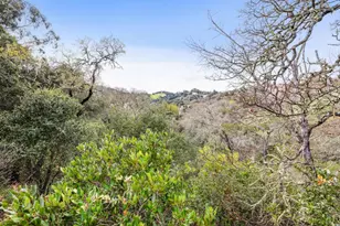 24292 Elise Ct, Los Altos Hills, CA 94024 - Photo 13