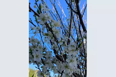 209 Norwich Dr, South San Francisco, CA 94080 - Photo 67