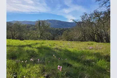 0 Cachagua Road, Carmel Valley, CA 93924 - Photo 9