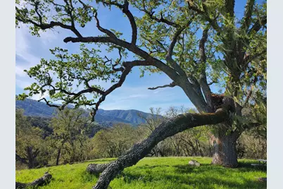 0 Cachagua Road, Carmel Valley, CA 93924 - Photo 5