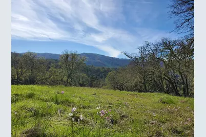 0 Cachagua Road, Carmel Valley, CA 93924 - Photo 17