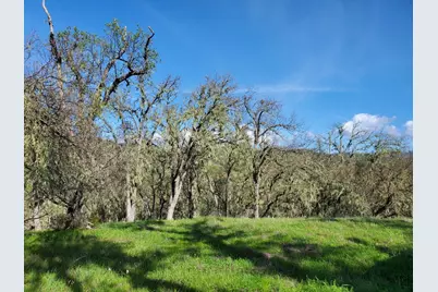 0 Cachagua Road, Carmel Valley, CA 93924 - Photo 23