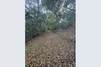 0 Chesbro Lake Dr, Morgan Hill, CA 95037 - Photo 7