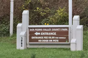 1559 Linda Mar Blvd, Pacifica, CA 94044 - Photo 27