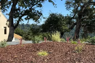 15220 Upper Ellen Rd, Los Gatos, CA 95033 - Photo 65