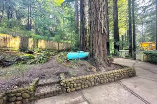 155 McGaffigan Mill Rd, Boulder Creek, CA 95006 - Photo 19
