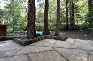 155 McGaffigan Mill Rd, Boulder Creek, CA 95006 - Photo 25