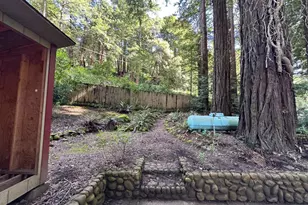 155 McGaffigan Mill Rd, Boulder Creek, CA 95006 - Photo 23