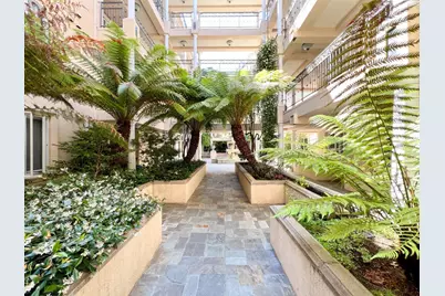 153 N. San Mateo Dr 204, San Mateo, CA 94401 - Photo 43